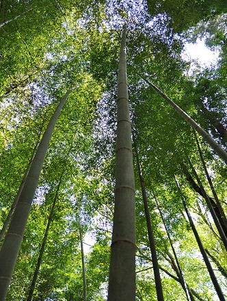 思いがすぐ実現化する時代