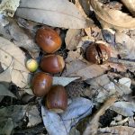 「嫌い、苦手」も執着