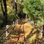 何かを辞めた先には・・