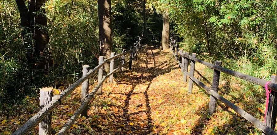 何かを辞めた先には・・